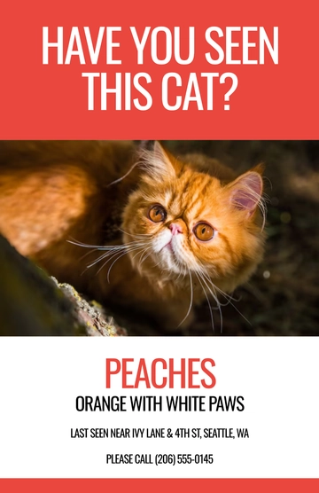 Free Red Wanted Lost Cat Poster Template to Edit Online