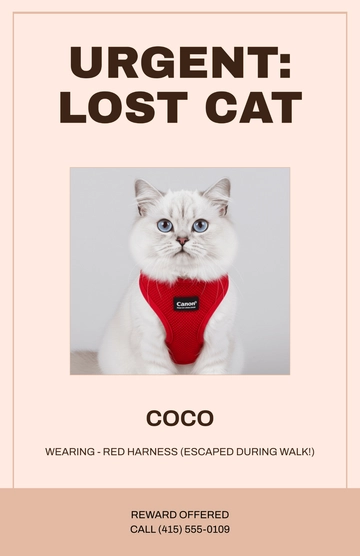 Free Simple Lost Cat Ad poster Template to Edit Online