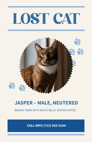 Free Cat Lost Poster with Photo Template to Edit Online