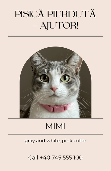 Free Romanian Lost Cat Poster Template to Edit Online