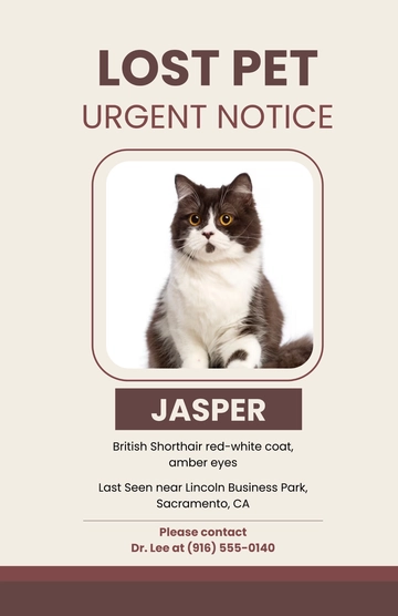 Free Professional Lost Cat with Name Poster Template to Edit Online