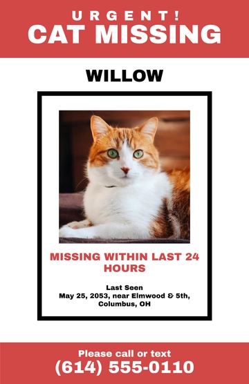 Free 24-Hour Lost Cat Poster Template to Edit Online