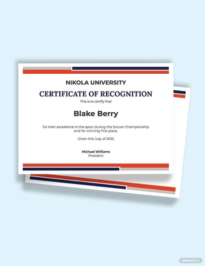 Soccer Excellence Certification Template