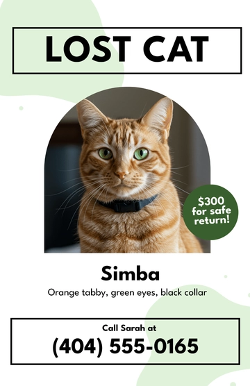 Free Lost Pet Cat Poster Template to Edit Online