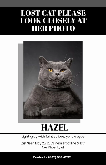 Free Black Photocentric Lost Cat Poster Template to Edit Online