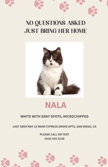 Free Cat Lost Poster with No Questions Asked Template to Edit Online