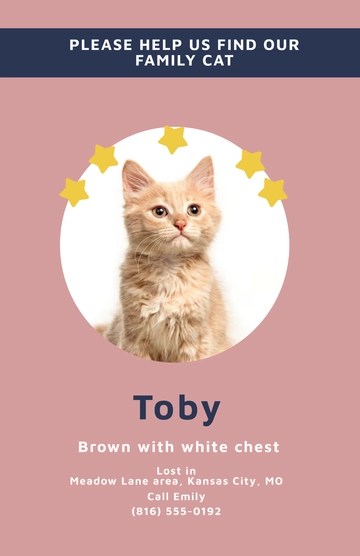 Free Please Help Lost Cat Poster Template to Edit Online