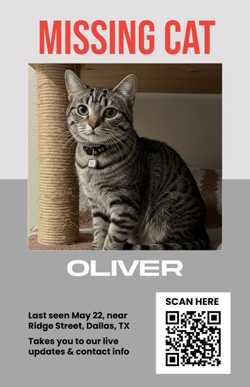 Free Cat Lost Poster with QR Code Template to Edit Online