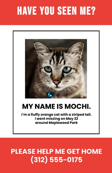 Free Finding Lost Cat Poster Template to Edit Online