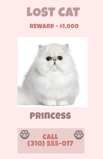 Free Editable High-Reward Lost Cat Poster Template to Edit Online