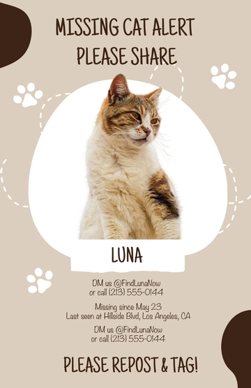 Free Customizable Animal Lost Cat Poster Template to Edit Online