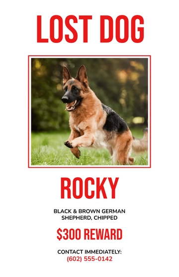 Free Dog Lost Reward Poster Template to Edit Online
