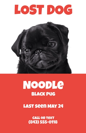 Free Funny Lost Dog Poster Template to Edit Online