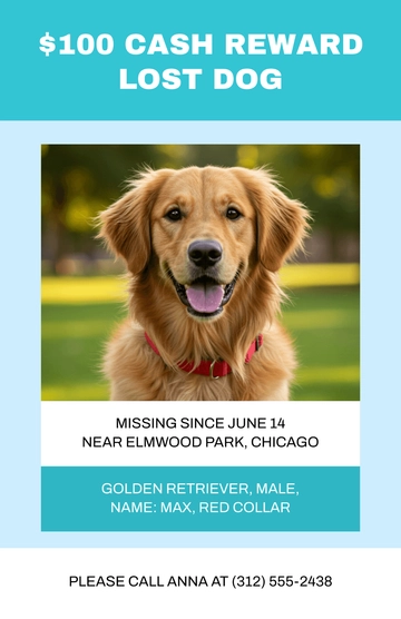 Free Cash Reward Lost Dog Poster Template to Edit Online