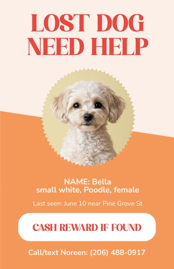 Free Social Media Lost Dog Poster Template to Edit Online