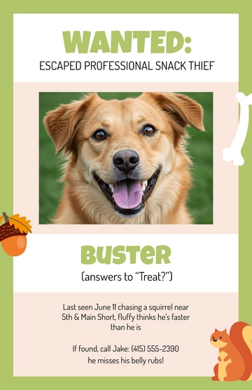 Free Funny Dog Lost Poster Template to Edit Online