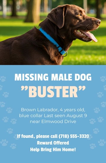 Free Blue Male Dog Lost Poster Template to Edit Online