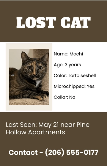 Free Informative Lost Cat Poster Template to Edit Online