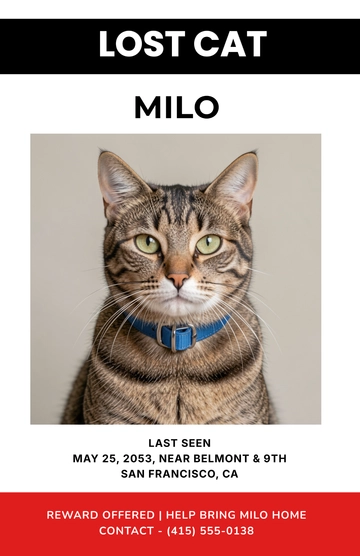 Free Modern Portrait Cat Lost Poster Template to Edit Online