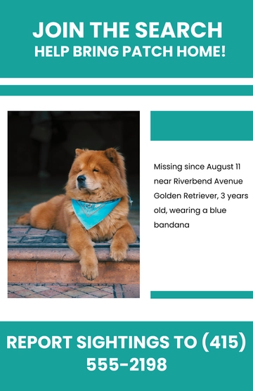 Free Printable Lost Dog Campaign Poster Template to Edit Online