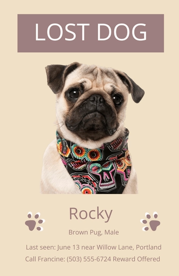 Free Simple Lost Dog Poster for Wall Template to Edit Online