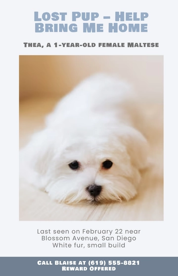 Free Pastel Cute Lost Dog Poster Template to Edit Online