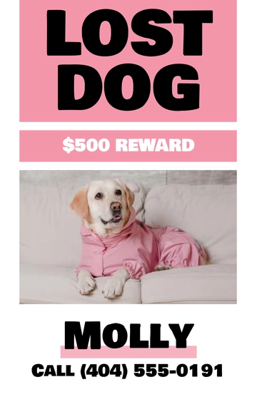 Free Lost Dog with Reward Poster Template to Edit Online