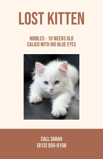 Free White Lost Kitten Poster Template to Edit Online