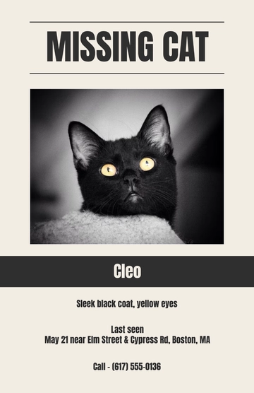 Free Pastel Female Lost Cat Poster Template to Edit Online