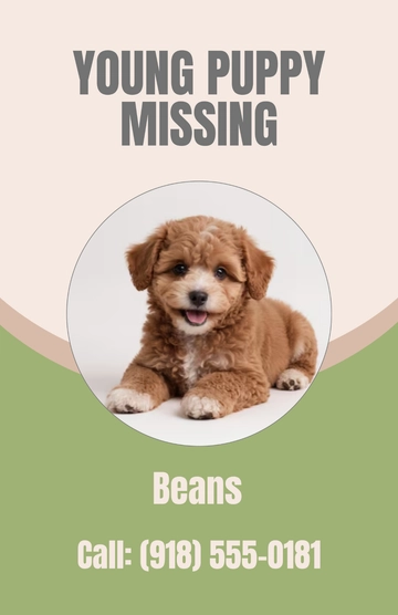 Free Lost Dog Poster with Puppy Template to Edit Online