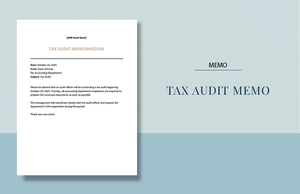 Tax Audit Memo Template