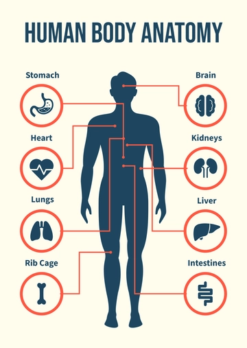 Free Nurse Anatomy Diagram Template to Edit Online
