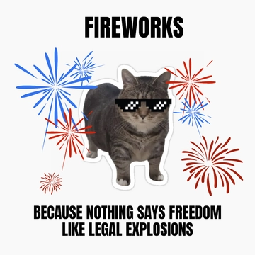 Free Colorful 4th of July Fireworks Meme Template to Edit Online