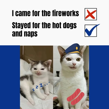 Free 4th of July Cat Meme Template to Edit Online