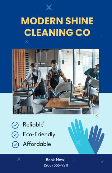 Free Modern Cleaning Services Business Poster Template to Edit Online