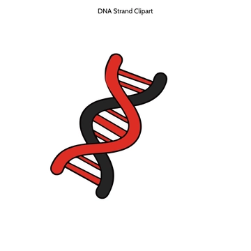 Free DNA Strand Clipart to Edit Online Free DNA Strand Clipart to Edit Online
