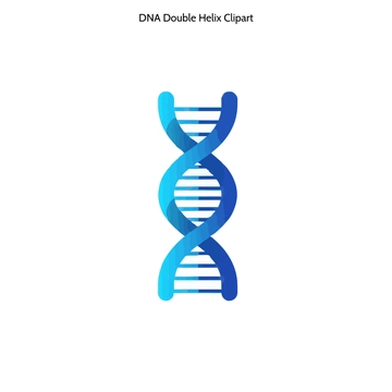 Free DNA Double Helix Clipart to Edit Online Free DNA Double Helix Clipart to Edit Online