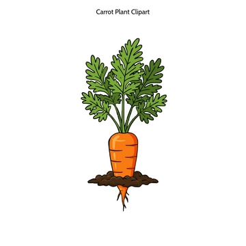 Free Carrot Plant Clipart to Edit Online