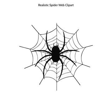Free Realistic Spider Web Clipart to Edit Online