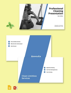 Professional Cleaning Services Presentation Template