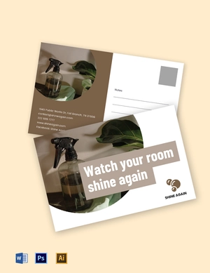 Professional Cleaning Service EDDM Postcard Template
