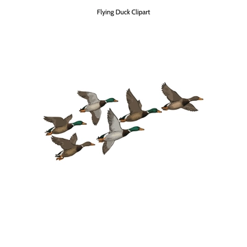 Free Flying Duck Clipart to Edit Online