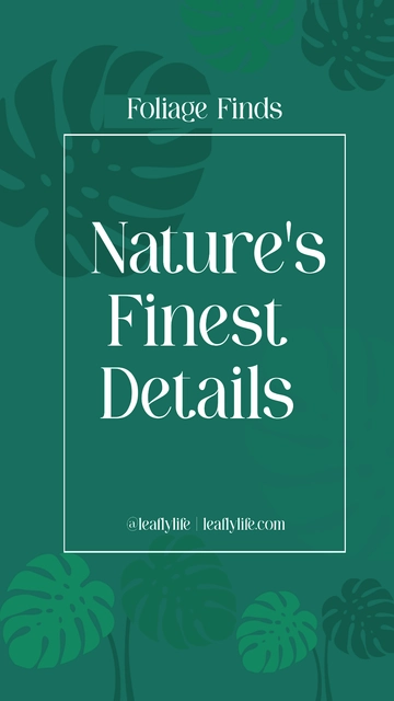 Free Foliage Instagram Story Highlight Template to Edit Online