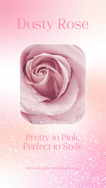 Free Dusty Rose Instagram Story Highlight Template to Edit Online