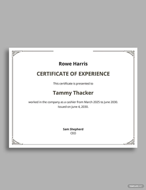 Job Experience Letter For Cashier