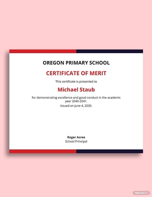 Recognition Of Merit Certificate Template