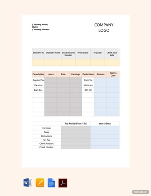 Organisation Pay Stub Template