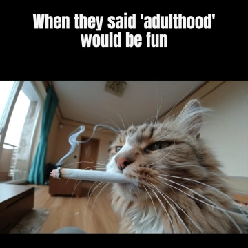 Free Smoking Cat Meme Template to Edit Online