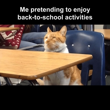 Free Simple Back To School Activities Meme Template to Edit Online