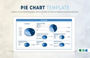 Pie Chart Template